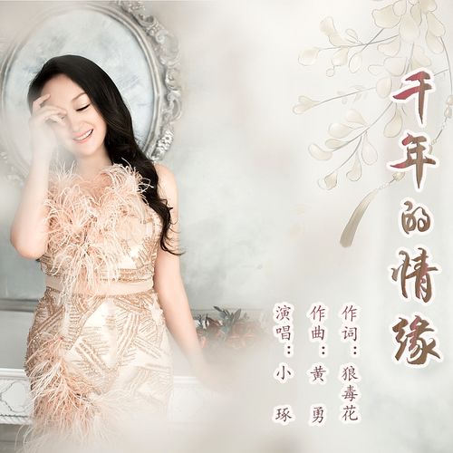 千年的姻缘歌曲下载(千年的缘分)