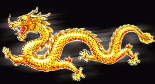 生肖龙的姻缘方位是什么(生肖龙的姻缘方位是什么意思)