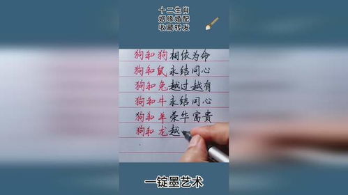 十二生肖婚配姻缘如何看(十二生肖婚配姻缘如何看准确)
