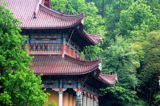九华山测姻缘准吗(九华山测姻缘准吗可信吗)