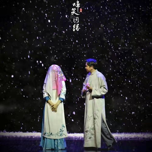 新啼笑姻缘下秀云结局(啼笑因缘秀姑结局)