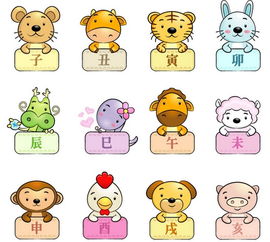 姻缘打一个生肖数字(姻缘猜一生肖)
