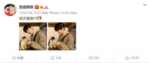 微博看姻缘的博主(微博看姻缘的博主是谁)