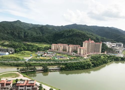 南海西岸庆云洞姻缘树(西樵庆云洞门票多少钱)