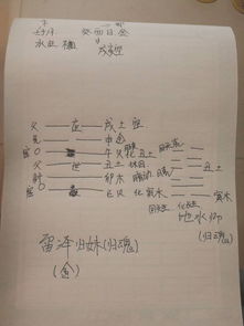 癸酉日己未时的姻缘案例(癸酉己未己酉)
