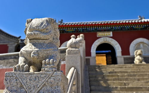 南京哪座寺庙求姻缘签(南京哪座寺庙求姻缘签最灵验)