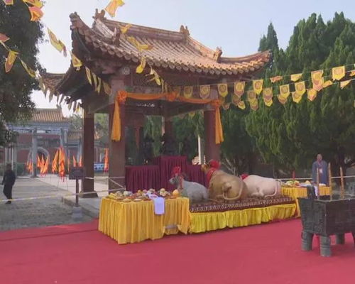 当阳玉泉寺求姻缘拜哪个(当阳玉泉寺抽签在什么地方)
