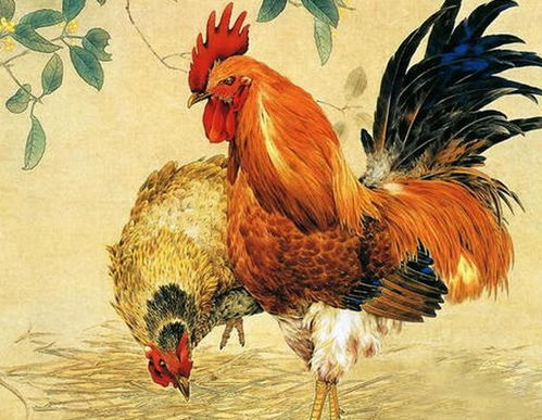 94年属鸡男何时有姻缘(属鸡94年一生婚姻状况)