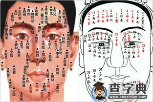 帝师面相分析姻缘图(帝师手相讲义)