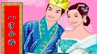 丁壬八字看姻缘(丁壬是谁合谁)