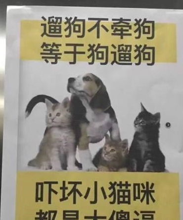 梦到算命先生说姻缘很准(梦见算命先生说我姻缘快到了)