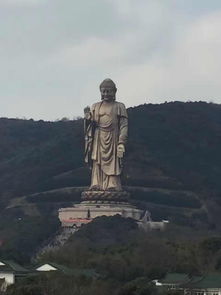 去了灵山求姻缘怎么说(灵山大佛求姻缘)