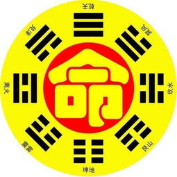 俊鸟出笼的卦象算姻缘(算卦俊鸟出笼是啥意思)
