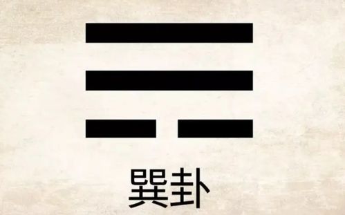 上离下巽卦详姻缘