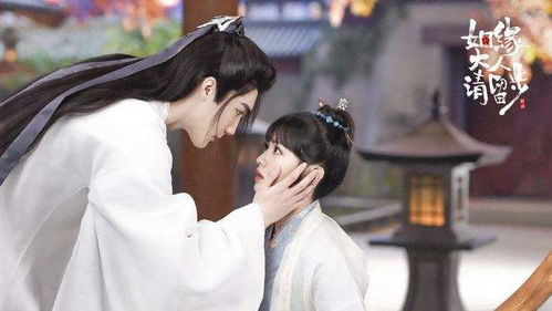 姻缘大师请留步柏衍(姻缘大人请留步cp)