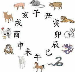 三笑姻缘指什么动物生肖(三笑姻缘的作者)
