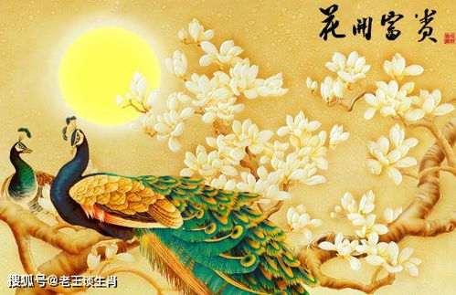 算命说人命好的话语姻缘(算命的都说好命)