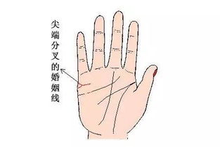 手相怎么看姻缘快到了(手相看姻缘准不准)