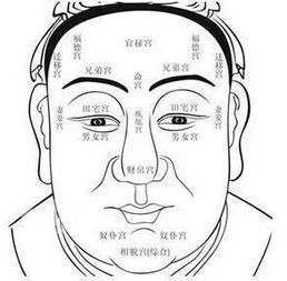 苏民峰面相口诀看姻缘(苏民峰面相总结)