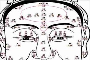 从山根看姻缘面相准吗(山根看婚姻)
