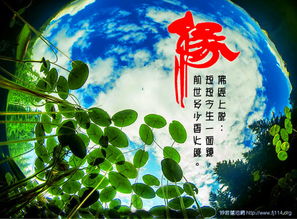 夫妻前世姻缘分析的书(夫妻的前世缘定与婚姻预兆)