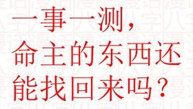麦玲玲八字看姻缘(麦玲玲八字算命)