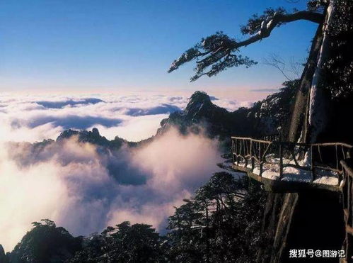 呢个山能看出来姻缘(算姻缘的山)