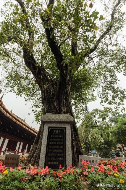 潭柘寺求姻缘拿什么东西(潭柘寺求姻缘流程)
