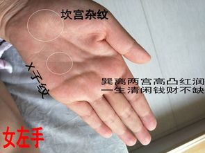 看手相姻缘怎么看财运(如何通过手相看姻缘)