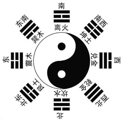 易经第十卦 问姻缘解释(易经第十卦 问姻缘解释详解)