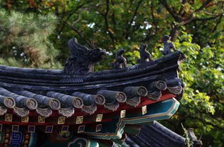 男人在红螺寺求姻缘(男生去红螺寺可以求什么)