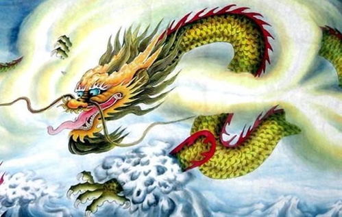 64年属龙的婚姻缘