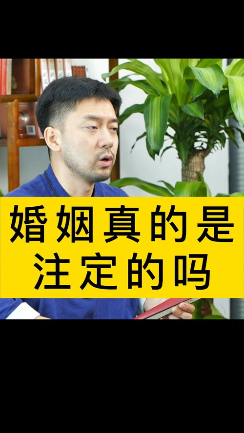 夫妻必然有前世的姻缘嘛(夫妻真的是前世注定的缘分)