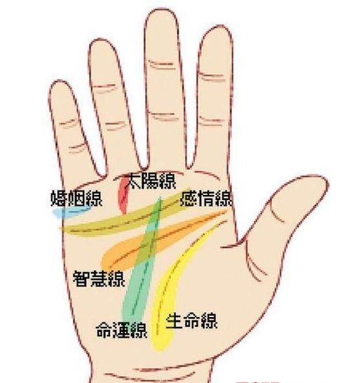 手纹姻缘线是哪根线(手相姻缘线可以看出什么信息)