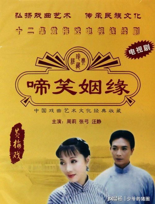 啼笑姻缘沈凤喜人物分析(啼笑因缘小说凤喜结局)