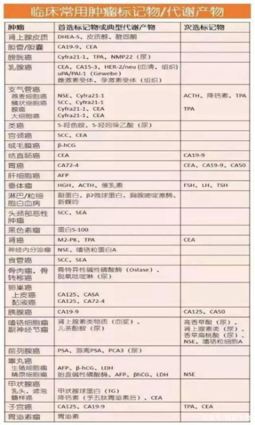 单身算姻缘怎么算最准确(单身算姻缘详解)