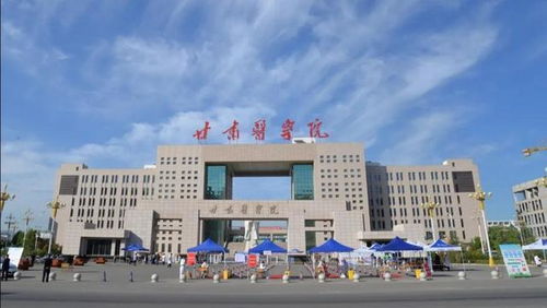甘肃医学院网络姻缘中心(甘肃医学院统一支付平台)