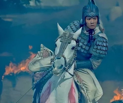 三国小说赵云姻缘佳(三国赵云小说完本大全)