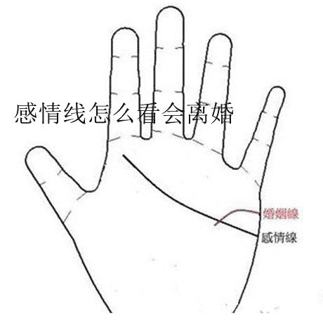 感情线能看出姻缘吗男(感情线一定准吗)