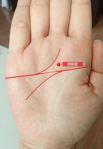 如何用手看姻缘最准确(如何看姻缘手相)
