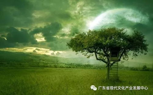 有树有鱼有姻缘(有树有鱼的诗句)