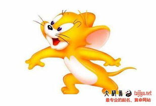 属鼠姻缘在那个方位(属鼠的婚姻在哪个方向)