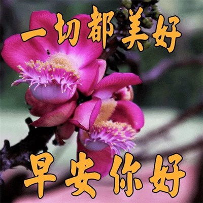 姻缘真好的图片头像(姻缘真好的图片头像大全)