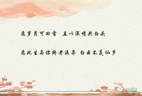 形容缔结美好姻缘的词语(形容缔结美好姻缘的词语是什么)