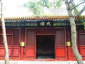河北姻缘石在哪里买(石家庄姻缘寺庙)
