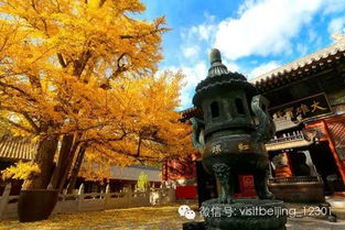 香港红螺寺求姻缘(求姻缘红螺寺拜哪个观音殿)