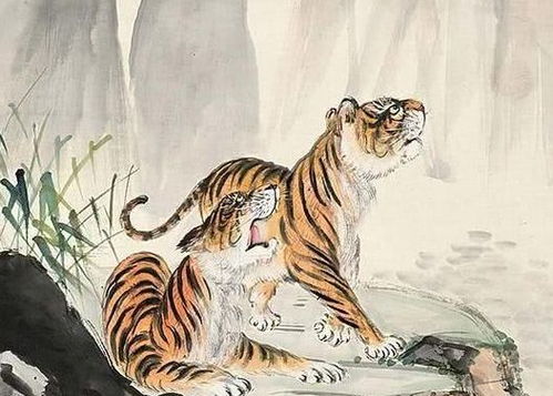一九八六的姻缘好不好(一九八六年属虎的姻缘)