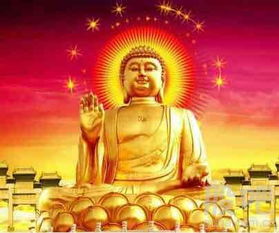 佛教为什么能求姻缘(求佛姻缘灵验么)