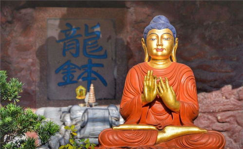 佛教达摩的前世姻缘如何(佛教达摩的前世姻缘如何呢)