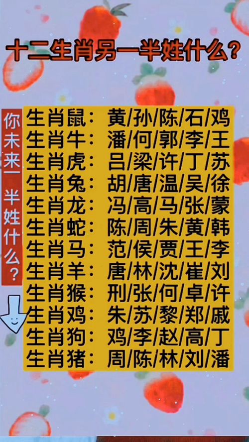 名字测姻缘周易测名(名字测姻缘周易测名字准吗)
